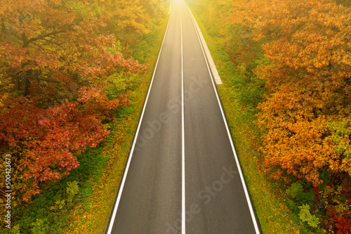 Aerial view of road going through beautiful autumn forest