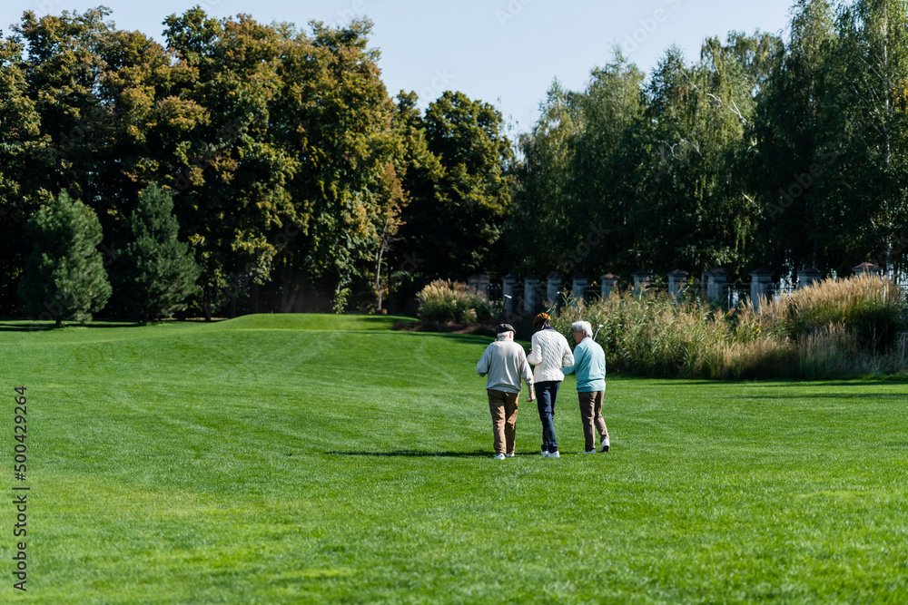 back view of senior interracial friends walking on green field with golf clubs. back view of senior interracial friends walking on green field with golf clubs.