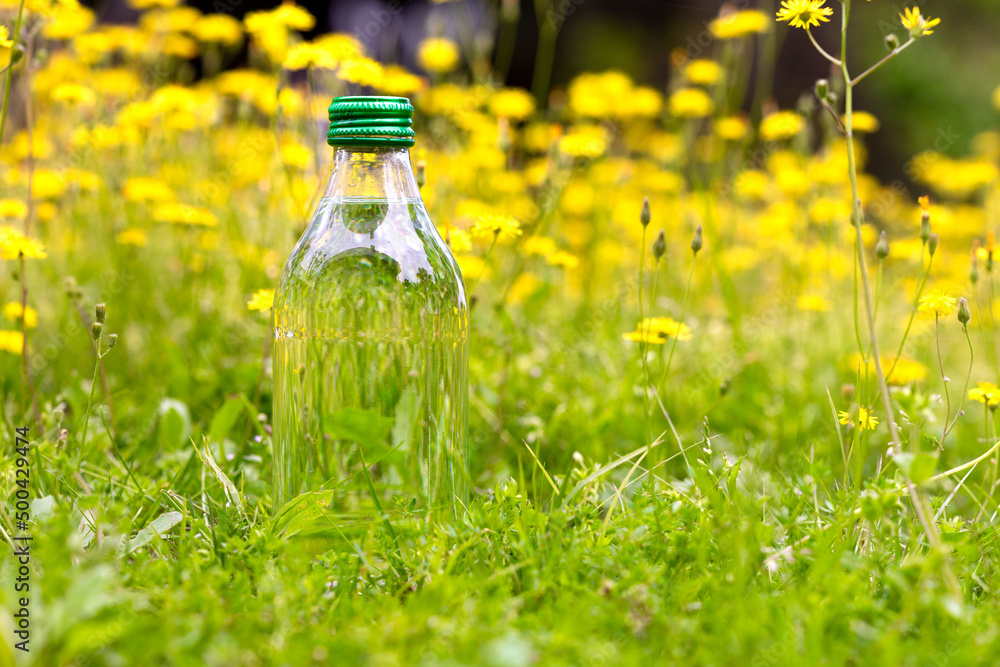 Glass bottle with drinking water in selective focus among wildflowers and green grass. Drought, famine, abundance; vital fluid, basic need concept. Glass bottle with drinking water in selective focus among wildflowers and green grass. Drought, famine, abundance; vital fluid, basic need concept.
