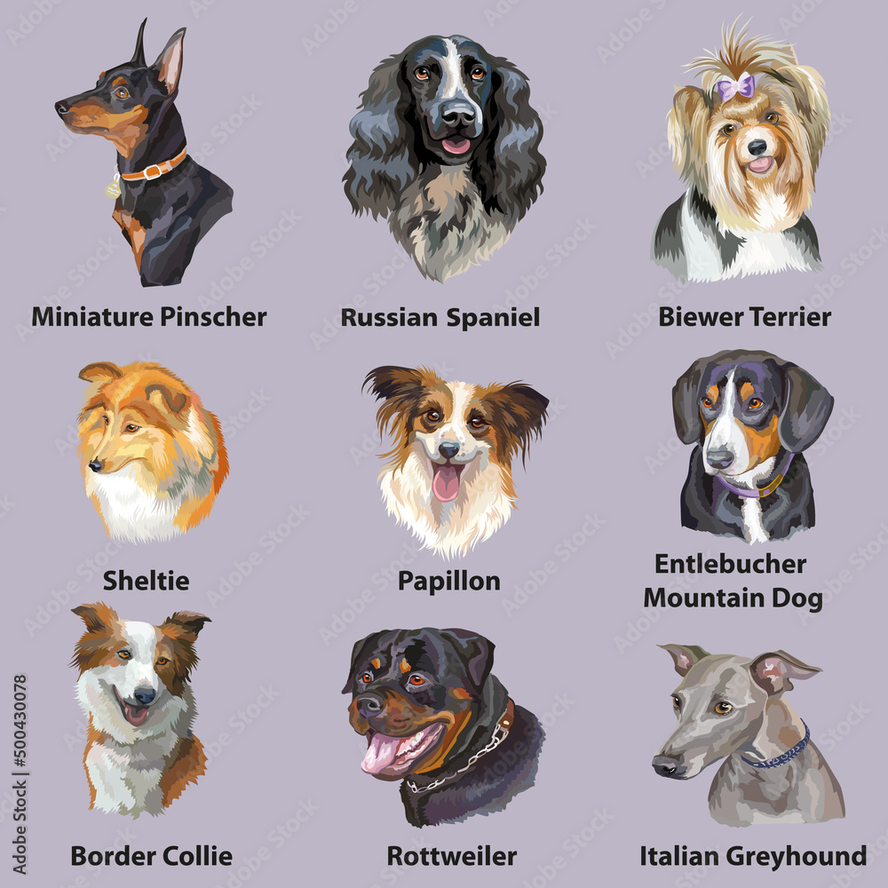 Φωτογραφία Different happy dogs breeds set vector isolated illustration