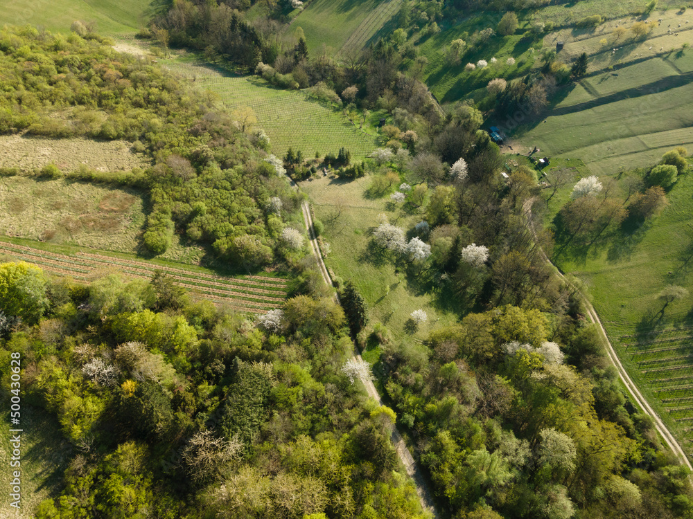 Obraz premium Drone flight over green meadows, forests, landscape, nature in April in Austria