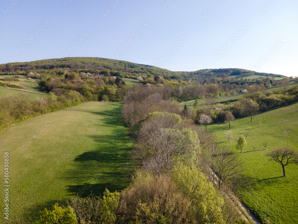 Naklejka premium Drone flight over green meadows, forests, landscape, nature in April in Austria