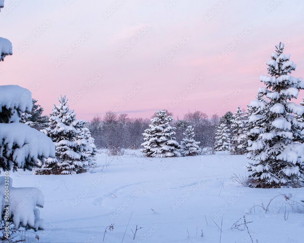 Obraz premium Early Morning Snowy Sunrise