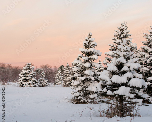 Early Morning Snowy Sunrise