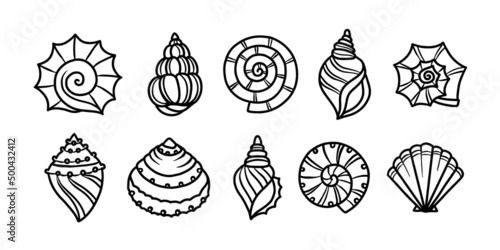 Seashells monochrome hand drawn graphics set. Marine life design elements collection. Vector vintage illustration.