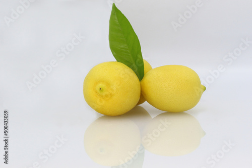isolated lemons on a white background