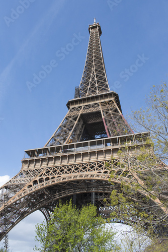 Paris, France: a tree with view from below of The Eiffel Tower, metal tower completed in 1889 for the Universal Exposition and became the most famous monument in Paris  © Naeblys