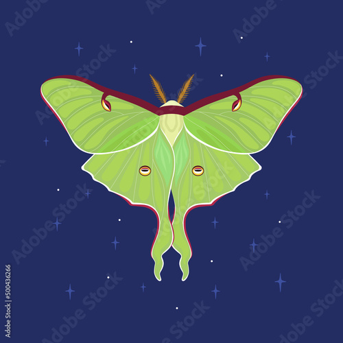 Butterfly Moon moth. Vector illustration on the background of the night sky with stars.