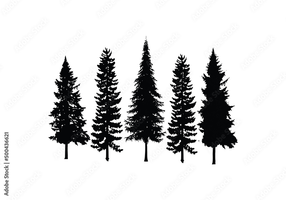 Obraz premium Set Collection Conifer Cedar Coniferous Cypress Pine Evergreen Fir Hemlock Spruce Larch Pinus tree forest illustration Logo design