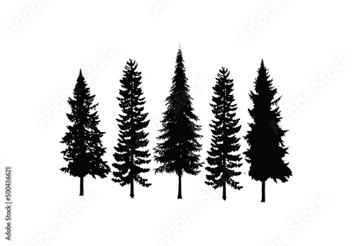 Set Collection Conifer Cedar Coniferous Cypress Pine Evergreen Fir Hemlock Spruce Larch Pinus tree forest illustration Logo design