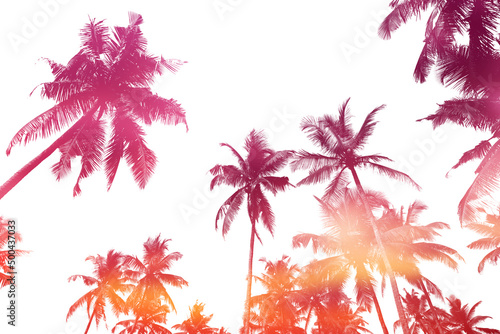Tropical palm trees silhouettes isolated on white with sunset sky double exposure effect