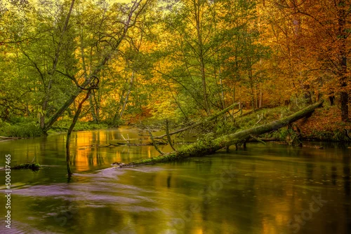 Obraz Jesień w rezerwacie Las Warmiński