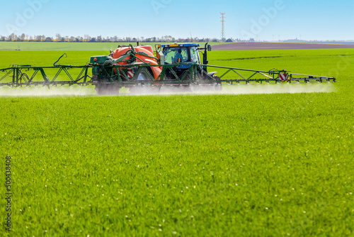 Fototapeta Agriculture intensive conventionnelle - épandage de pesticide sur un champ de cé