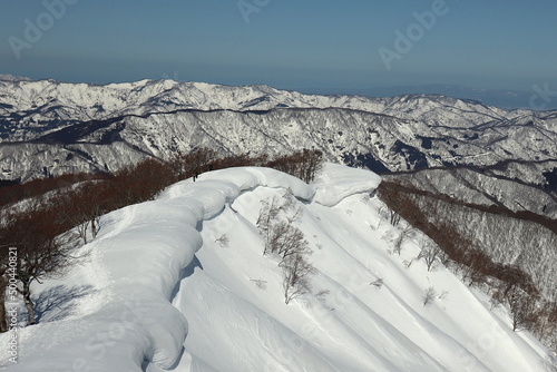 snow covered mountains