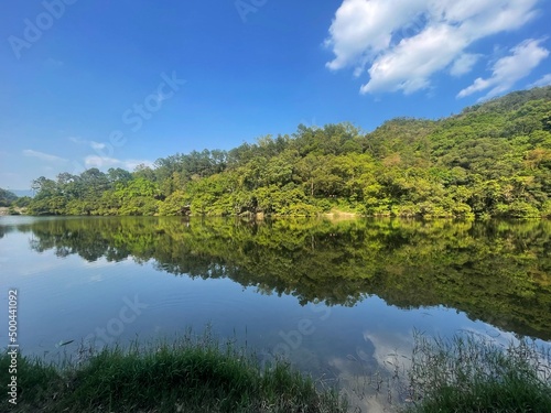 lake in the forest