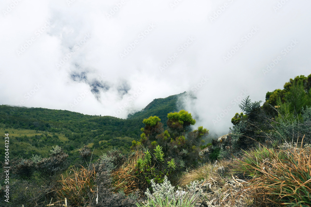 Scenic mountain landscapes against a foggy background at Mount Mtelo, West Pokot, Kenya