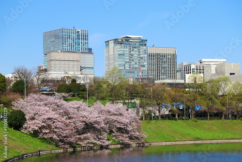 桜の皇居
