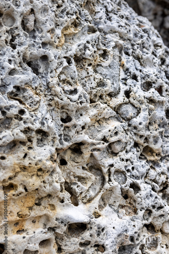 Coral rock at the shore of Playa Jeremi on the Caribbean island Curacao Coral rock at the shore of Playa Jeremi on the Caribbean island Curacao
