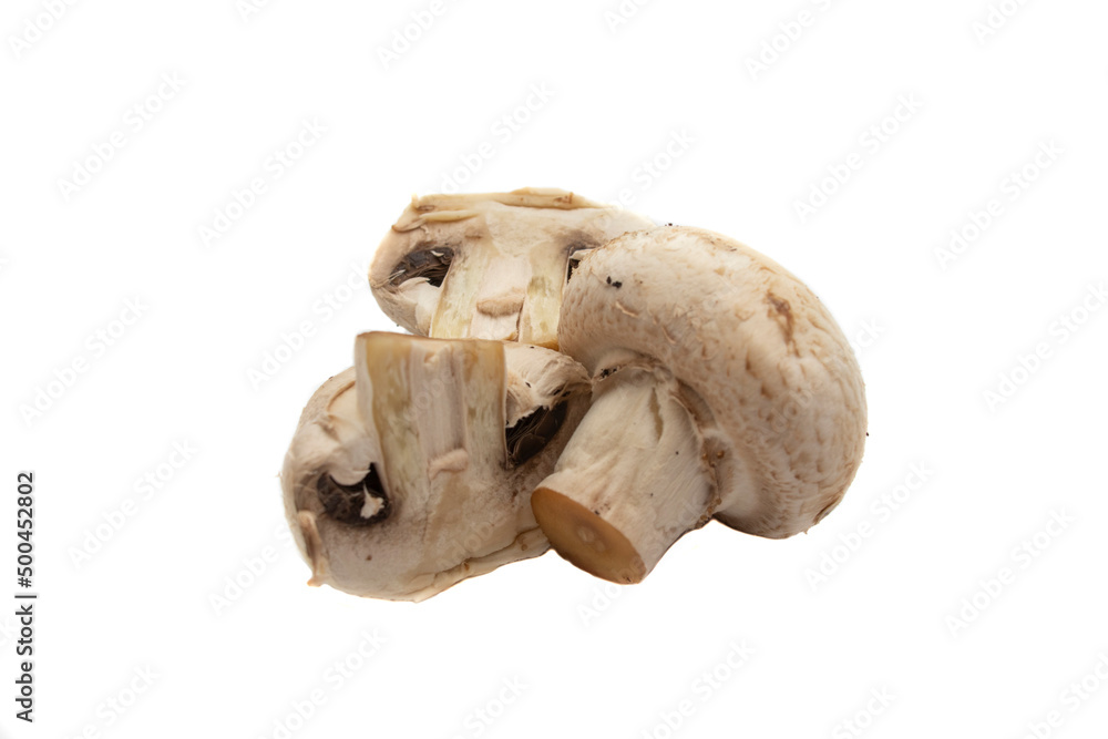 Whole mushrooms , isolated on white background. Scientific name is Agaricus bisporus. It is the most commonly used edible mushroom species for cooking. Whole mushrooms , isolated on white background. Scientific name is Agaricus bisporus. It is the most commonly used edible mushroom species for cooking.