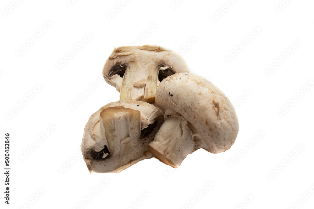 Fototapeta premium Whole mushrooms , isolated on white background. Scientific name is Agaricus bisporus. It is the most commonly used edible mushroom species for cooking.