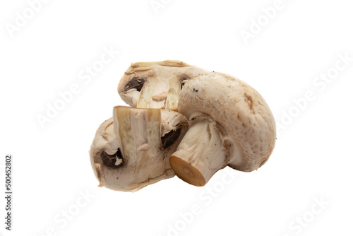 Whole mushrooms , isolated on white background. Scientific name is Agaricus bisporus. It is the most commonly used edible mushroom species for cooking.