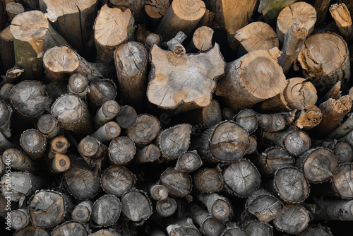 Logged tree trunks or pile of wood prepared for transport, two.