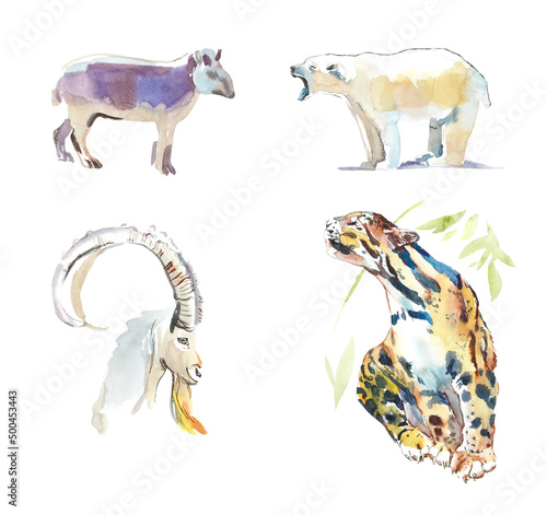 Photography Animal from Zoo. Watercolor hand drawn illustration