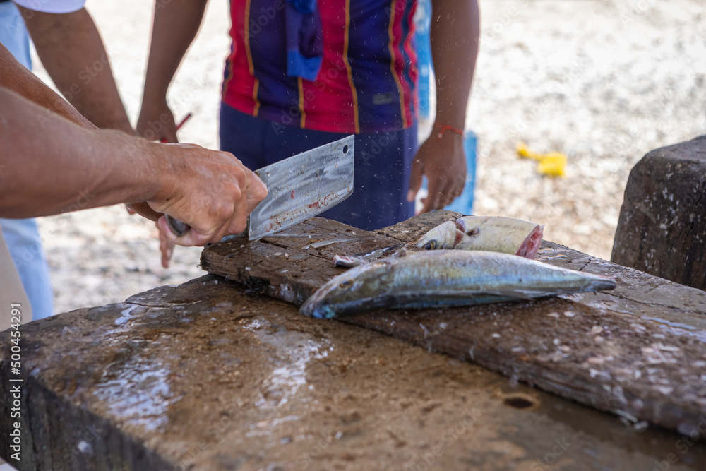 Fisherman preparing fresh Jack fish on a stone surface for selling it to the locals at Playa Grandi (Playa Piscado) on the Caribbean island Curacao
Fisherman preparing fresh Jack fish on a stone surface for selling it to the locals at Playa Grandi (Playa Piscado) on the Caribbean island Curacao