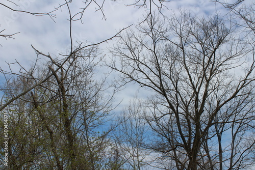 nature at its finest 
