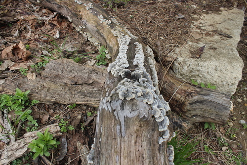 nature at its finest 