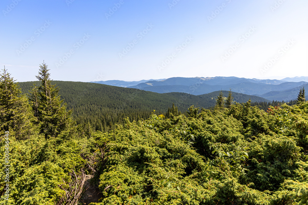 Mountain landscape in Ukrainian Carpathians in summer. Mountain landscape in Ukrainian Carpathians in summer.