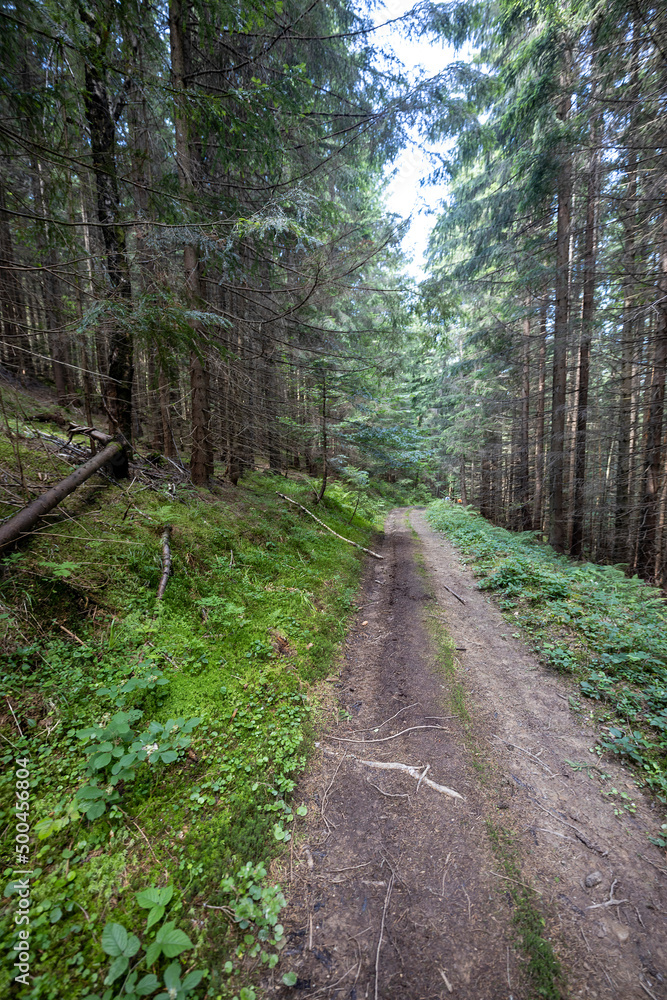 Mountain dirt road in the Ukrainian Carpathians on a summer day. Mountain dirt road in the Ukrainian Carpathians on a summer day.