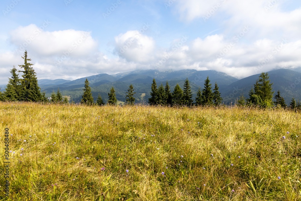 Panorama of mountains in the Ukrainian Carpathians on a summer day. Panorama of mountains in the Ukrainian Carpathians on a summer day.