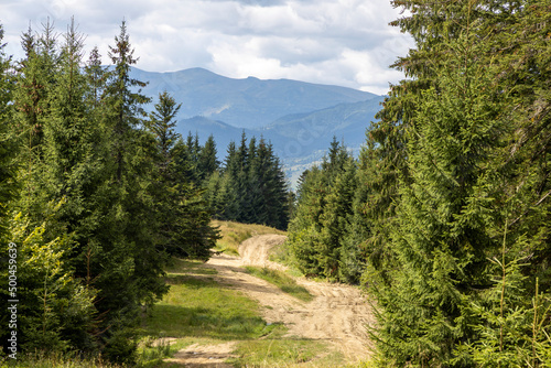 Mountain dirt road in the Ukrainian Carpathians on a summer day.