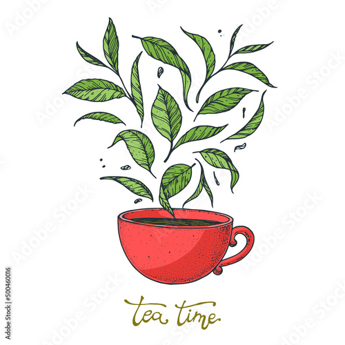 Cup of tea vector illustration. Tea leaf and cup. Hand drawn colorful illustration. Cartoon style.