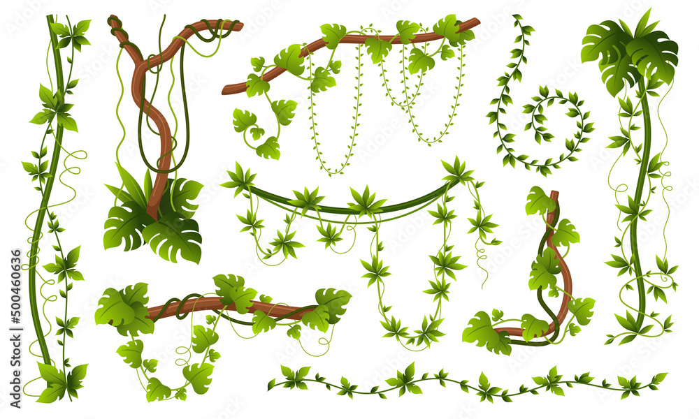 Natural creepers set vector flat green leaves wooden branches tropical jungle vegetation - obrazy, fototapety, plakaty 