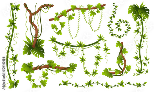 Fotografiet Natural creepers set vector flat green leaves wooden branches tropical jungle ve