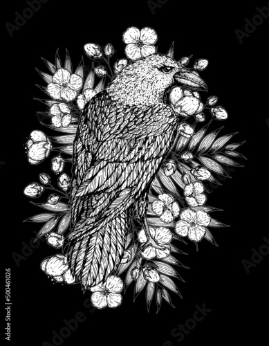 Raven and flowers hand drawn illustration. Tattoo vintage print. Hand drawn floral print. Tattoo design.