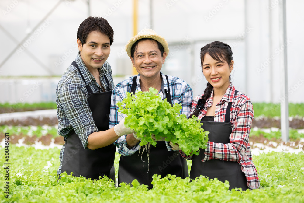 group of farmers picking and checking organic vegetables together in hydroponic farm