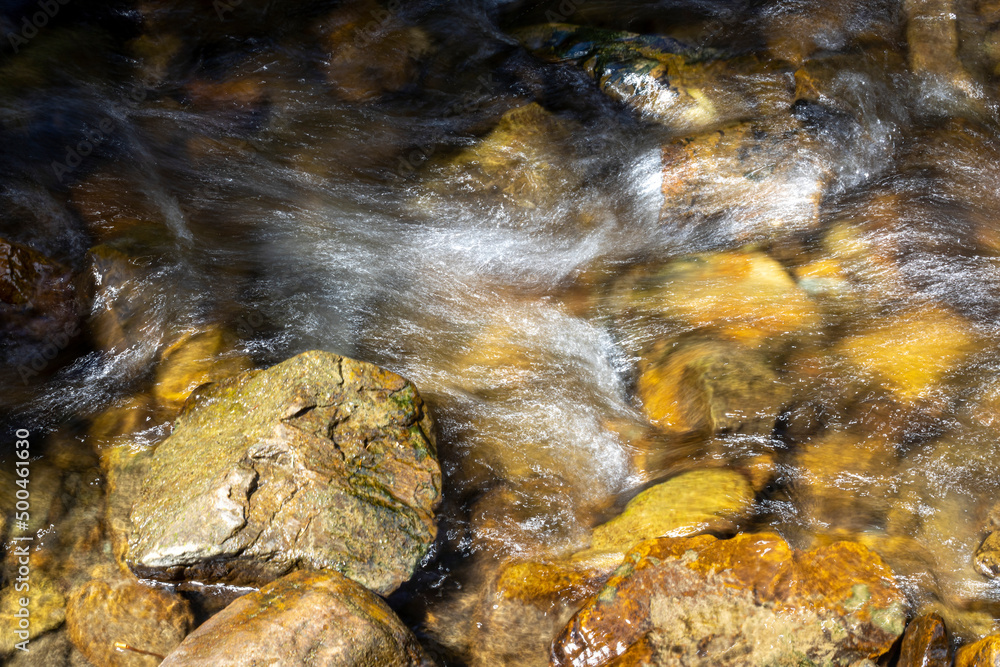 Obraz premium Mountain stream on a summer day in the Ukrainian Carpathians