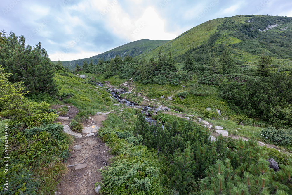 Panoramic view of the Ukrainian mountains Carpathians Panoramic view of the Ukrainian mountains Carpathians