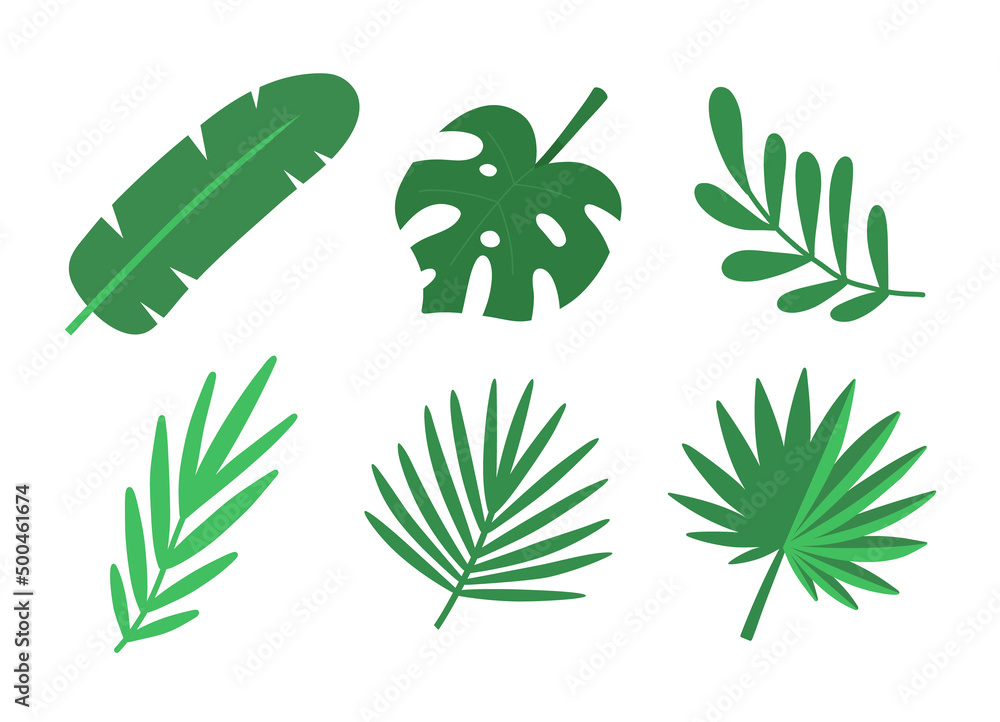 Tropical leaves set. Vector isolated elements on white.