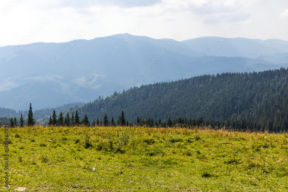 Fototapeta premium Panorama of mountains in the Ukrainian Carpathians on a summer day.