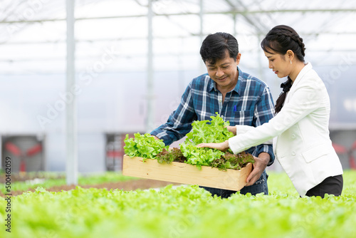 businesswoman and farmer picking and checking organic vegetables together in hydroponic farm