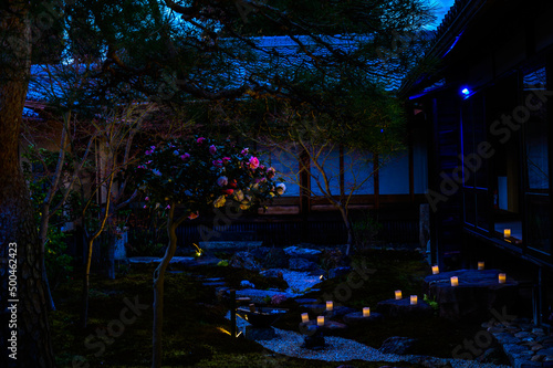 妙顕寺 夜間拝観