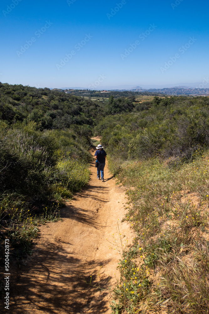 A Woman Hiker on a California Mountain Trail