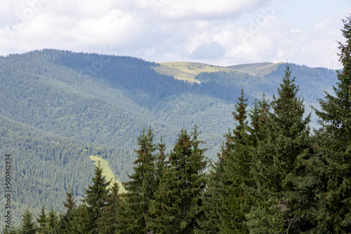 Panorama of mountains in the Ukrainian Carpathians on a summer sunny day. © Sergey