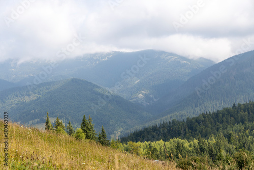 Fototapeta Naklejka Na Ścianę i Meble -  Panorama of mountains in the Ukrainian Carpathians on a summer day.