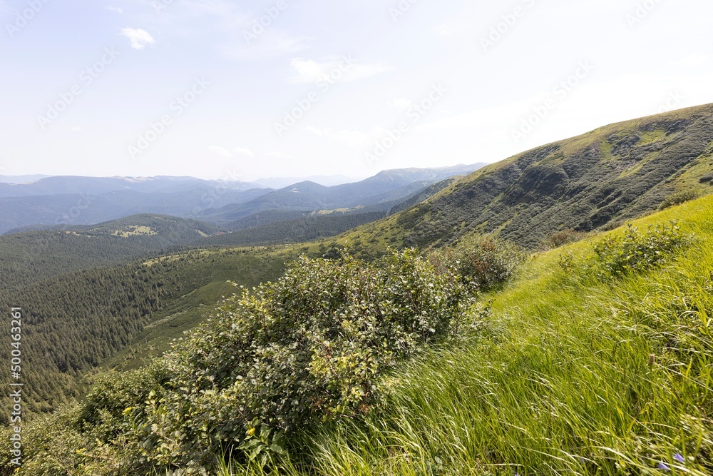 Naklejka premium Mountain landscape in Ukrainian Carpathians in summer.
