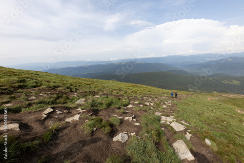 Wallpaper Mural Panorama of mountains in the Ukrainian Carpathians on a summer day. Torontodigital.ca